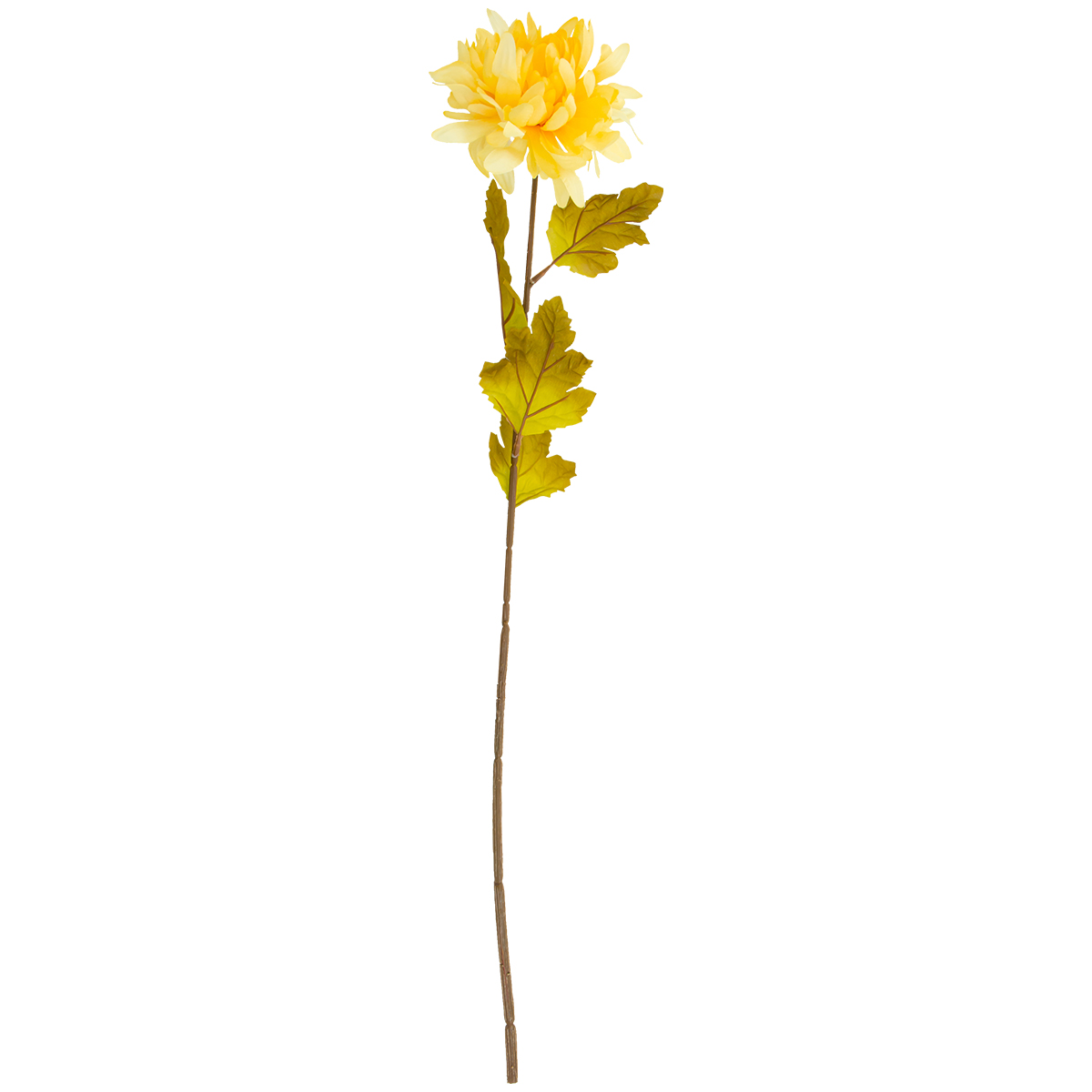 Flor Crisantemo Amarillo | Flores | decoracion